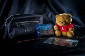 a teddy bear next to a pen and cd case