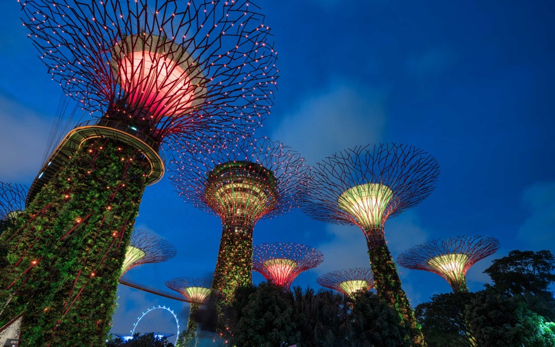 Singapore’s Amazing Gardens by the Bay and Marina Bay Sands