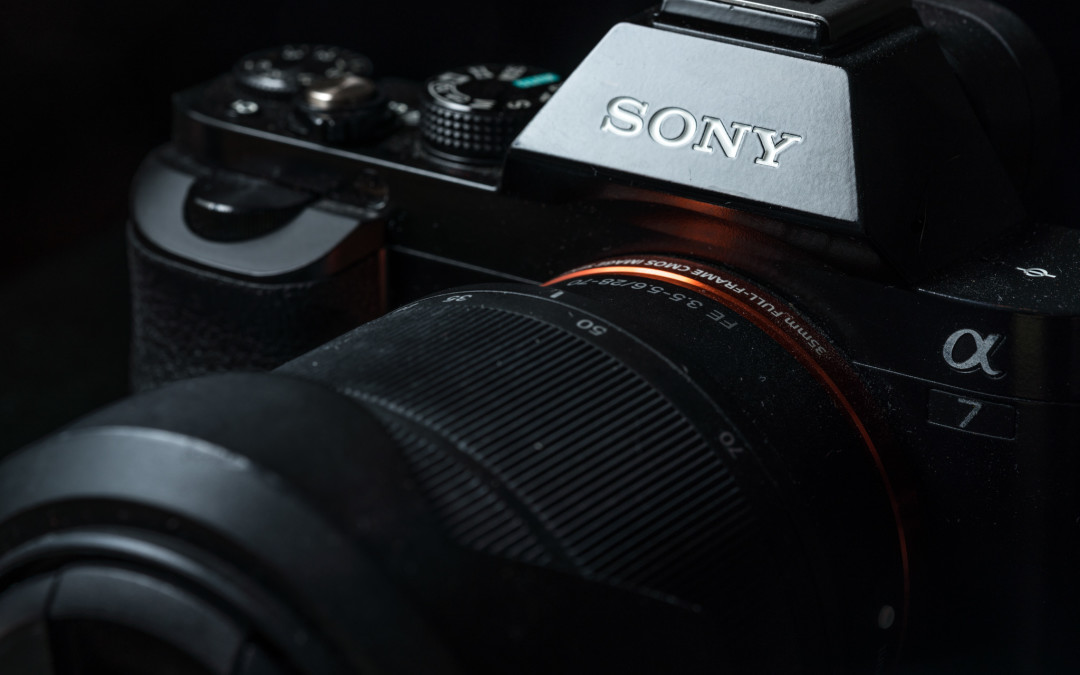 Picture(s) of the Week: Ode to my Sony a7