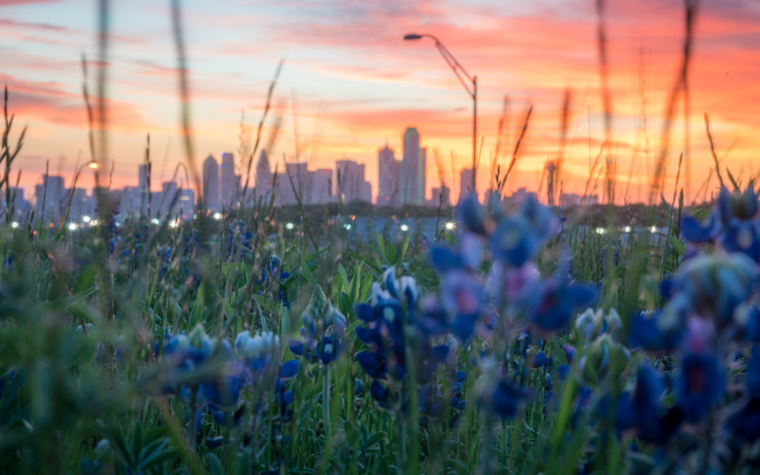 Picture(s) of the Week: Epic Dallas Sunrise!