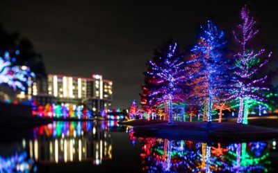 Pictures of the Week: Vitruvian Park Holiday Lights