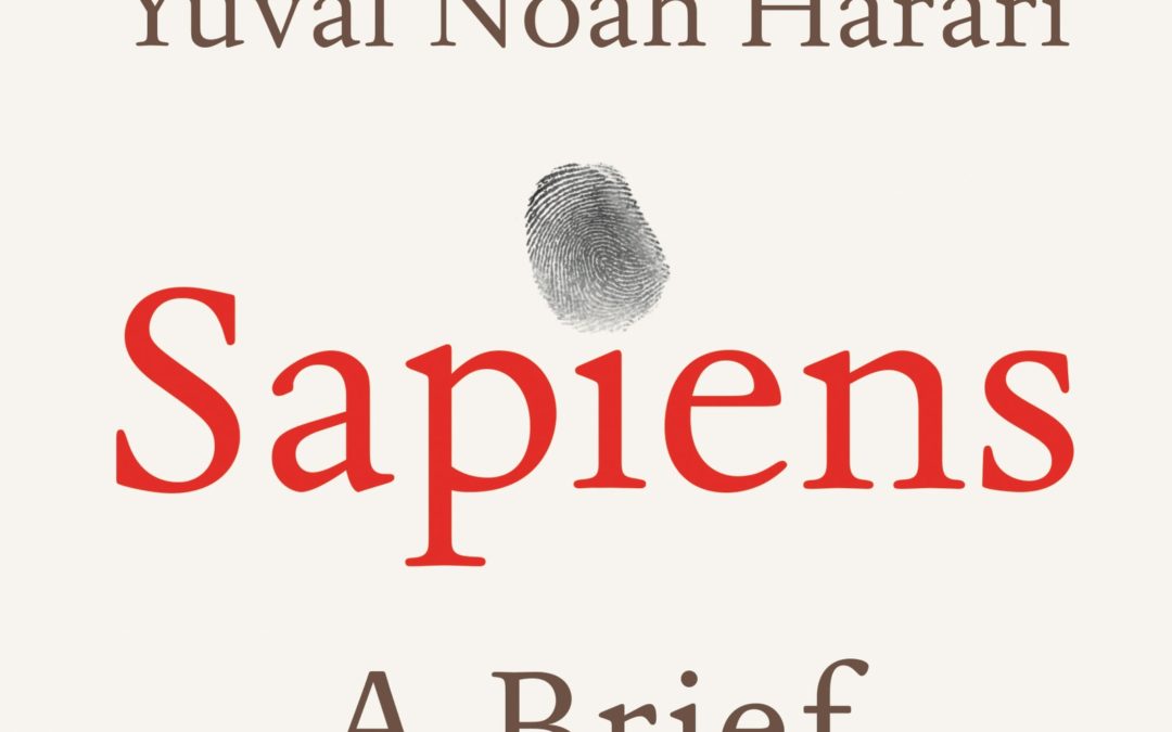 In-Flight Reading: Sapiens by Yuval Noah Harari