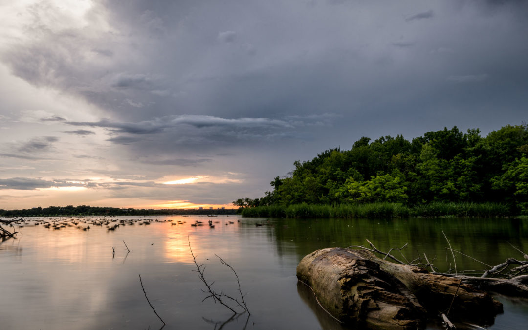 Picture of the Week: White Rock Lake Sunset with the New Lens