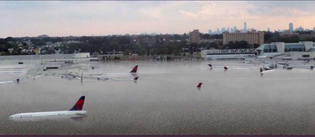 planes floating in water