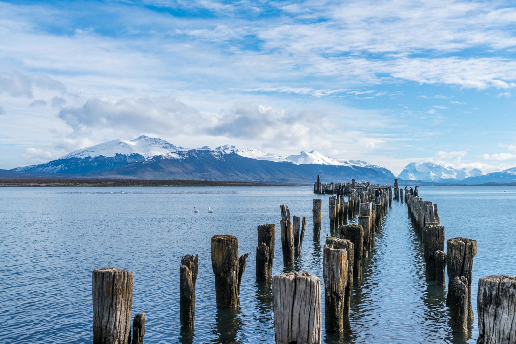 Pictures From Patagonia: The Road To Torres Del Paine - Andy's Travel Blog