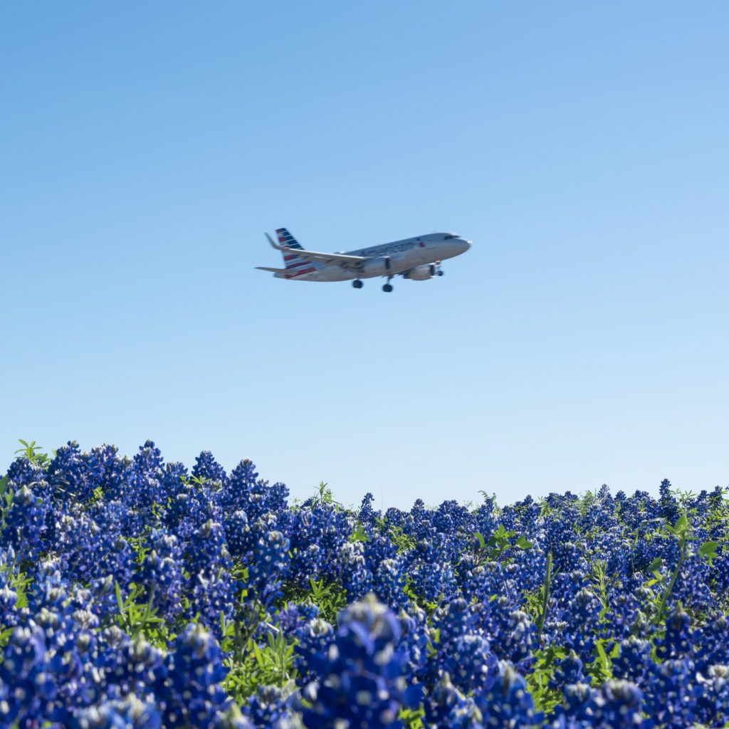 an airplane flying over a field of blue flowers