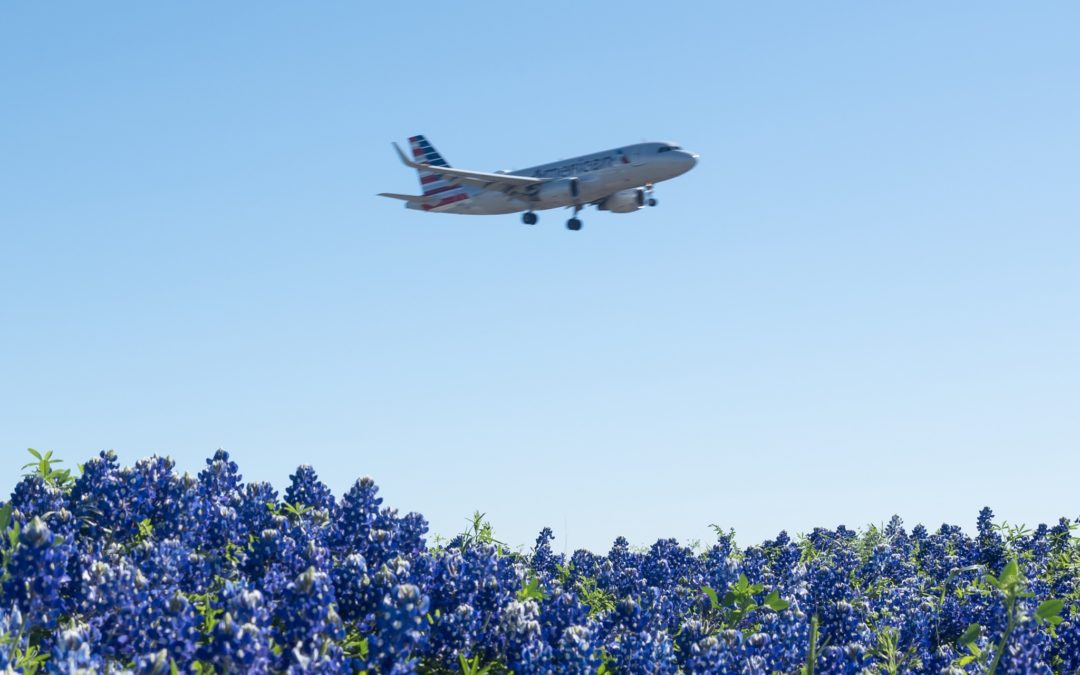 Picture of the Week: DFW Airport and some bluebonnets!