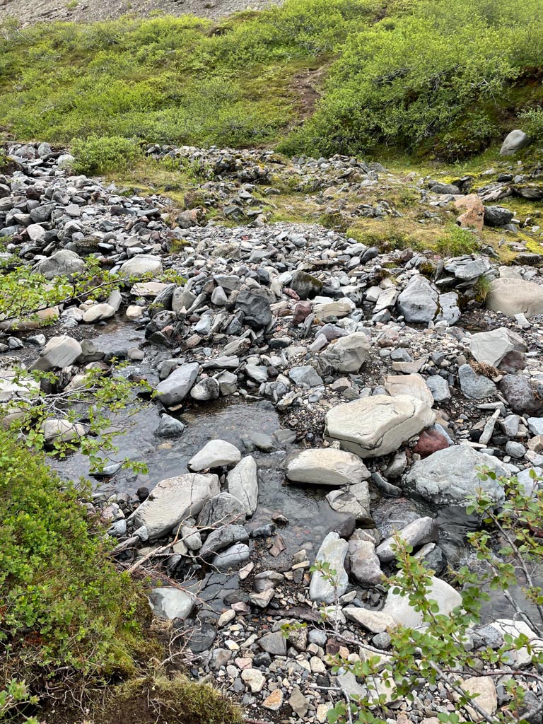 a rocky riverbed with rocks and bushes