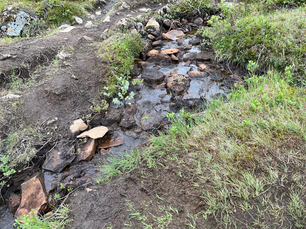 a muddy stream with rocks and grass