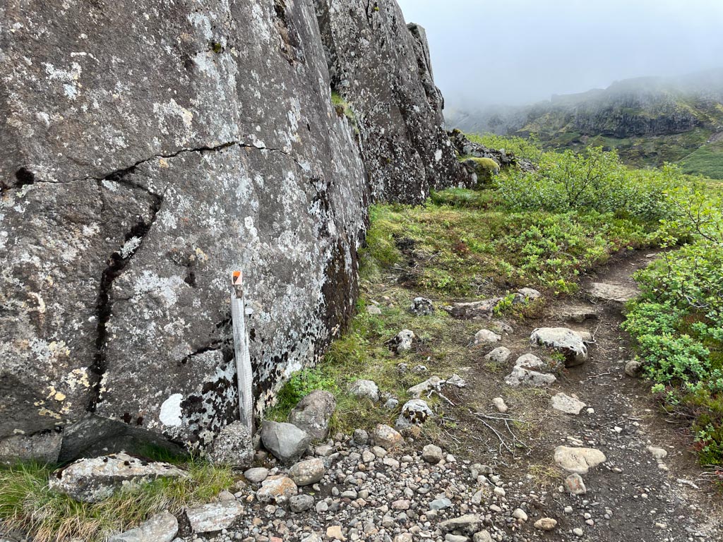 a trail with rocks and bushes