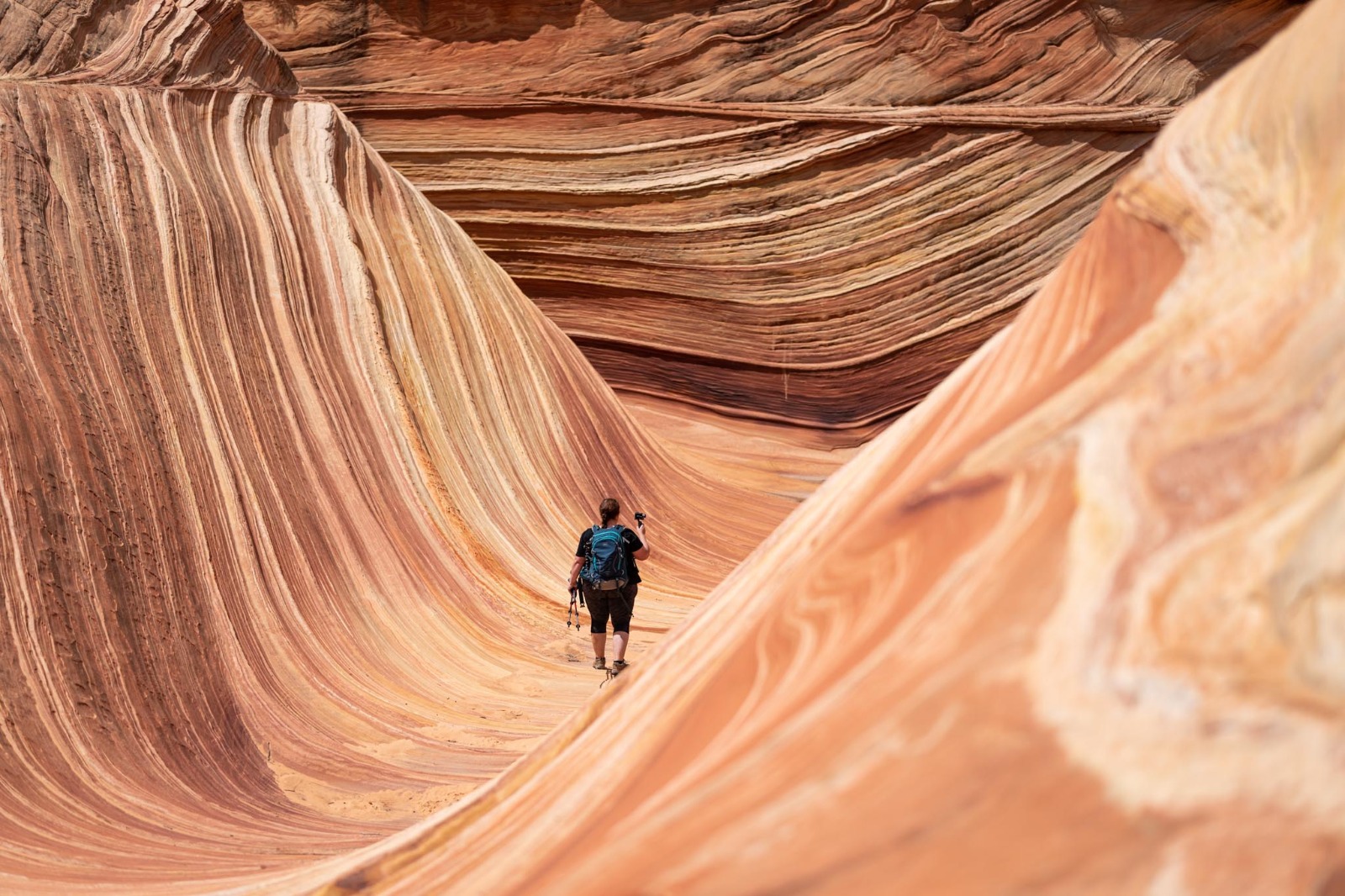 a person walking in a canyon