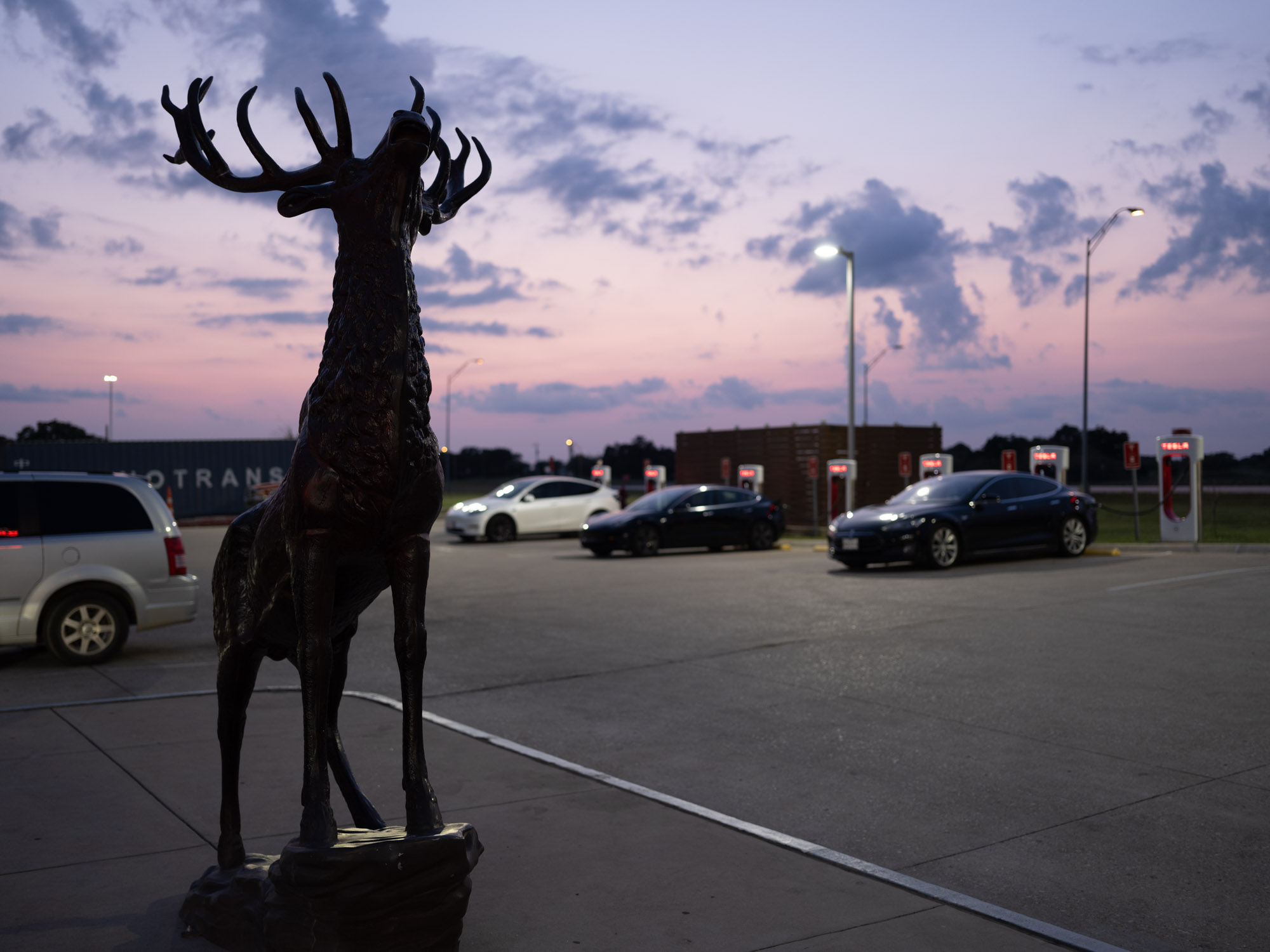 a statue of a deer in a parking lot