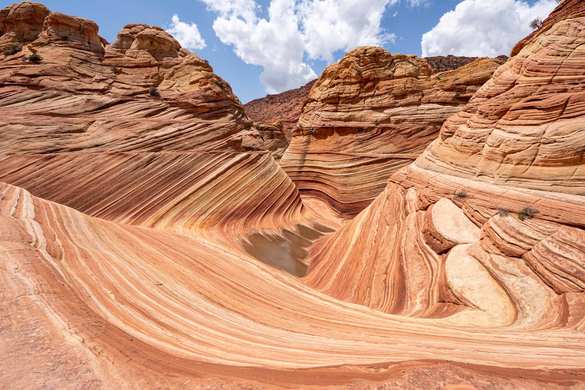 a large rock formation with a blue sky with Vermilion Cliffs National Monument in the background