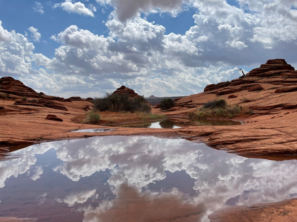 a puddle of water in a desert