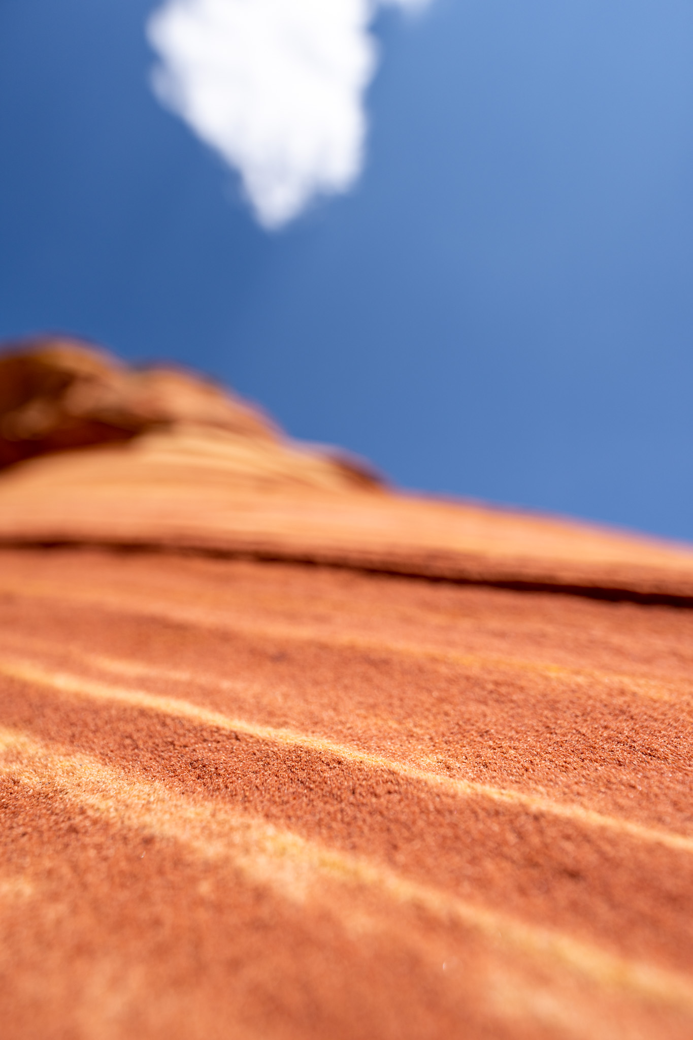 a close up of a red sand dune