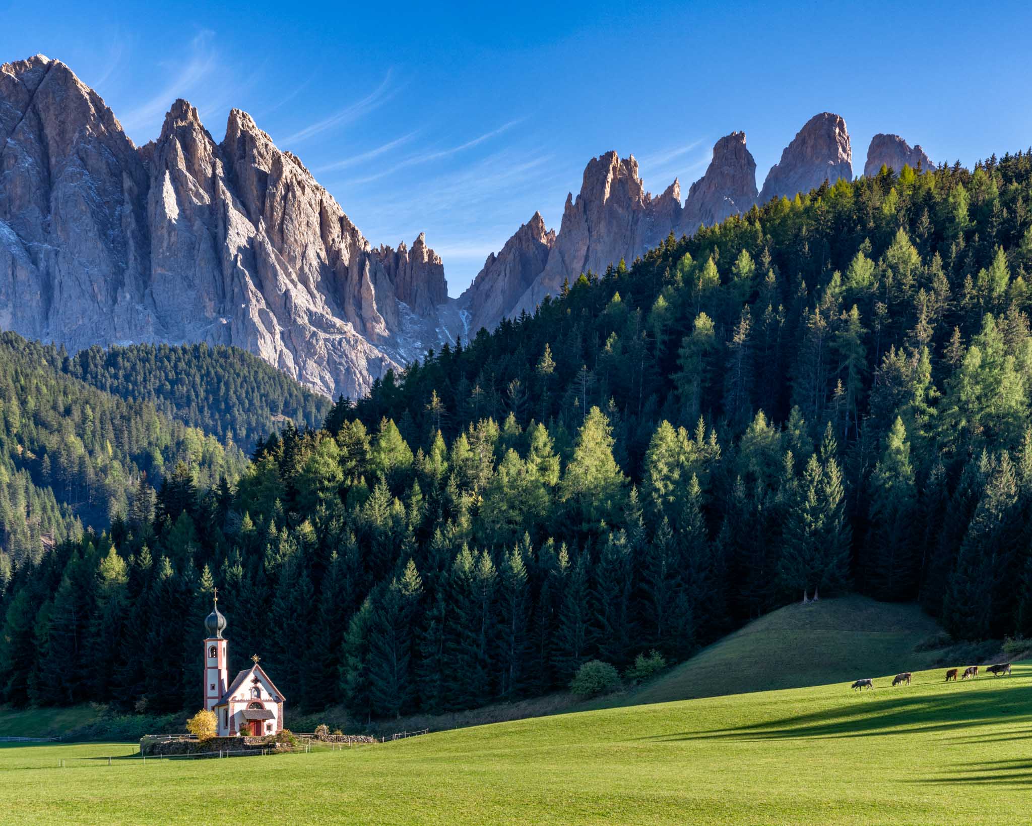 a church in a field with trees and mountains in the background