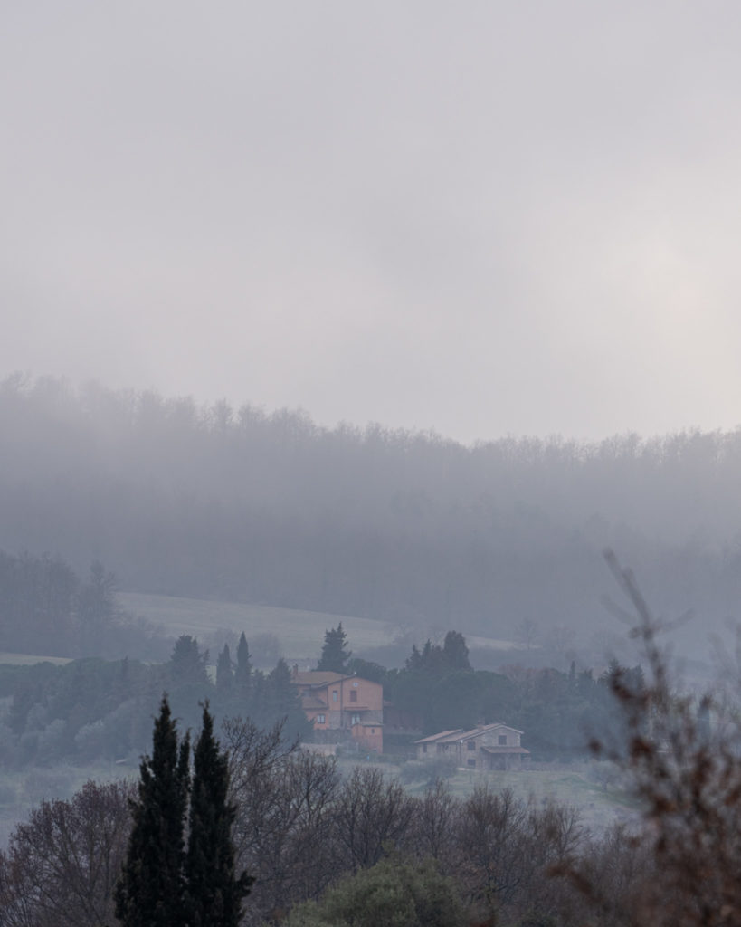 a foggy landscape with houses and trees