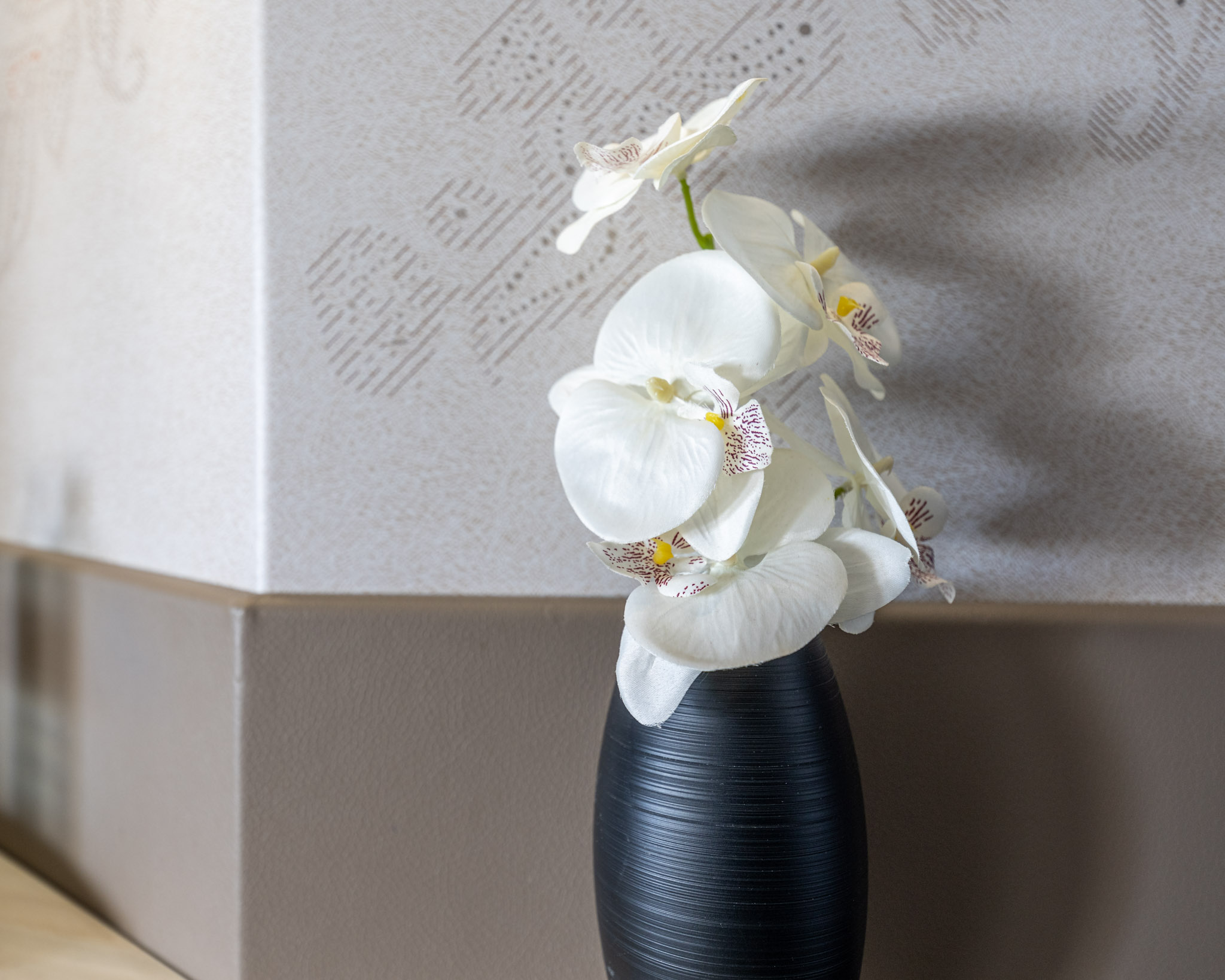 a white flowers in a black vase
