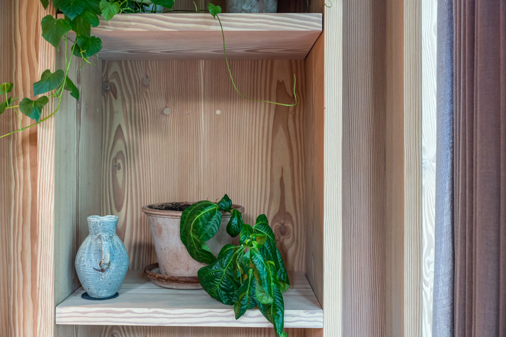 a shelf with plants on it