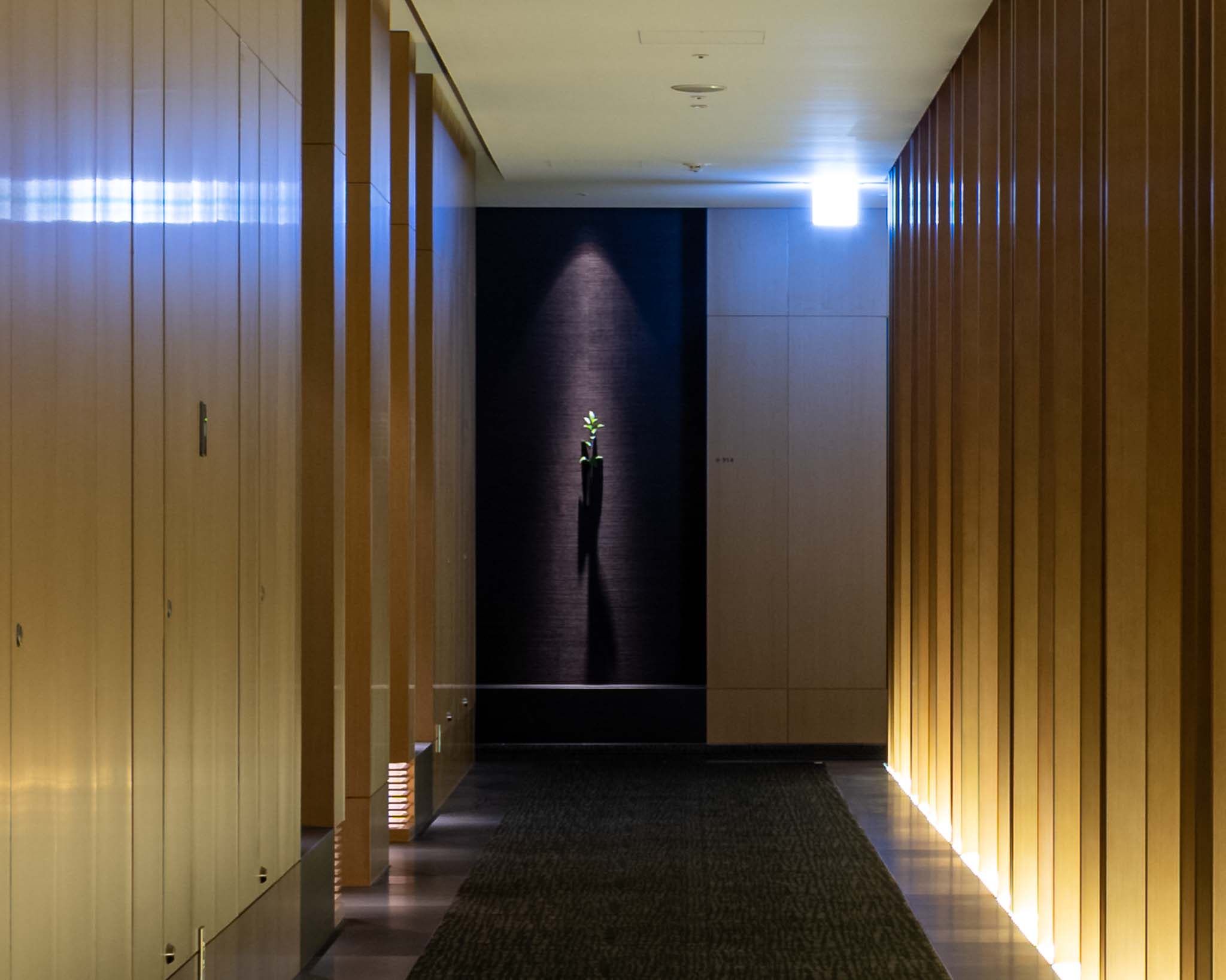 a hallway with wood paneled walls and a black carpet