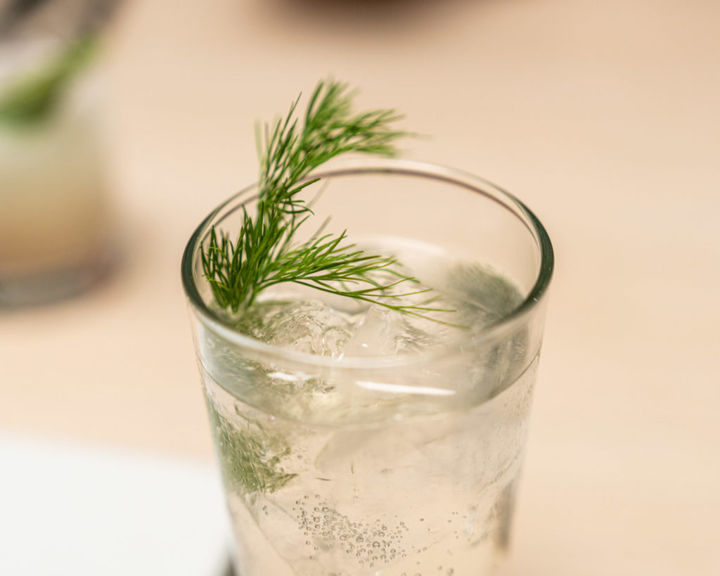 a glass of water with a sprig of dill on top