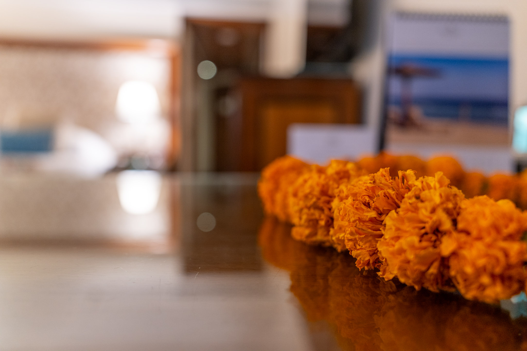 a row of orange flowers on a table