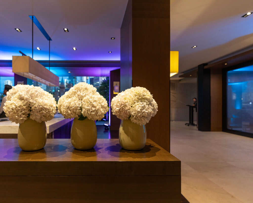 a group of white flowers in a vase