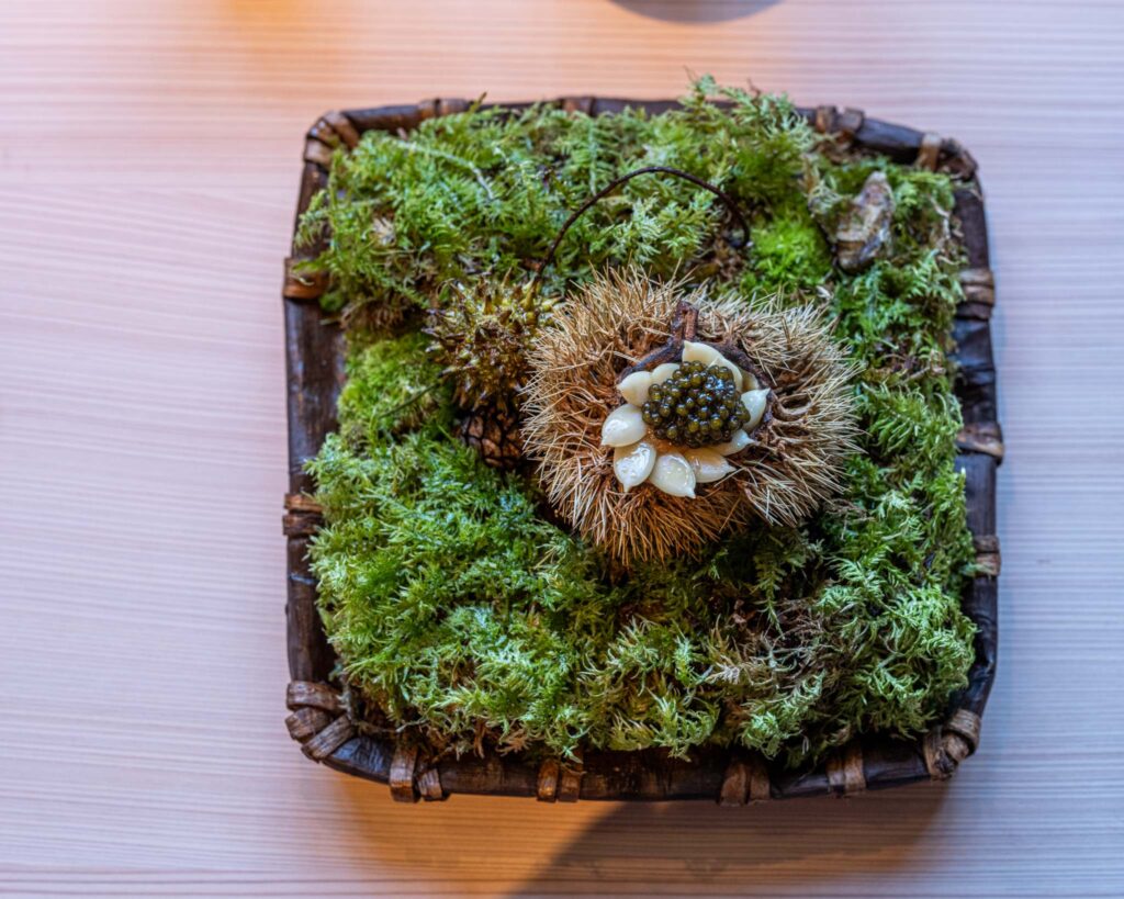 a basket with moss and a plant on it