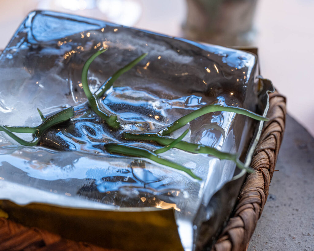 a green stems on a plastic wrap