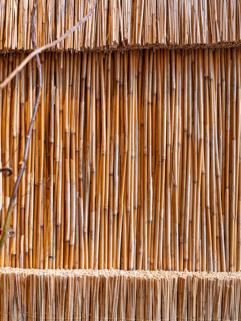 a wall of sticks