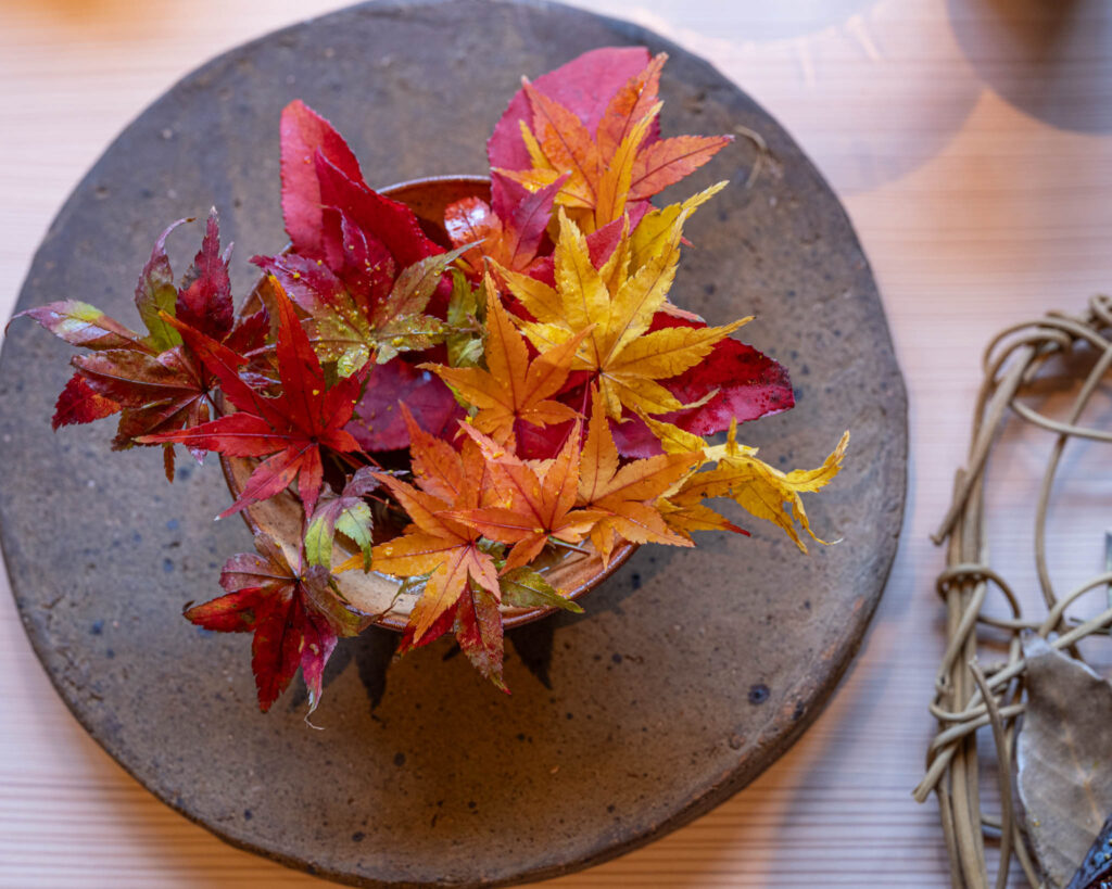 a bowl of colorful leaves