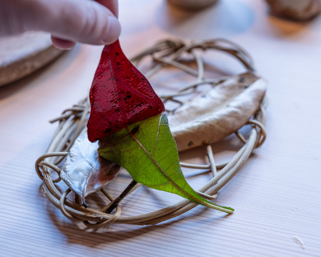 a hand holding a red leaf