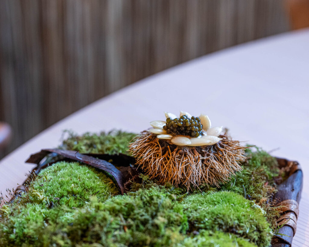 a plant on a table