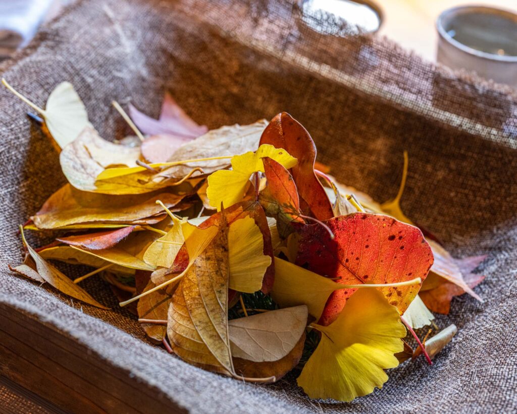 a pile of leaves in a basket