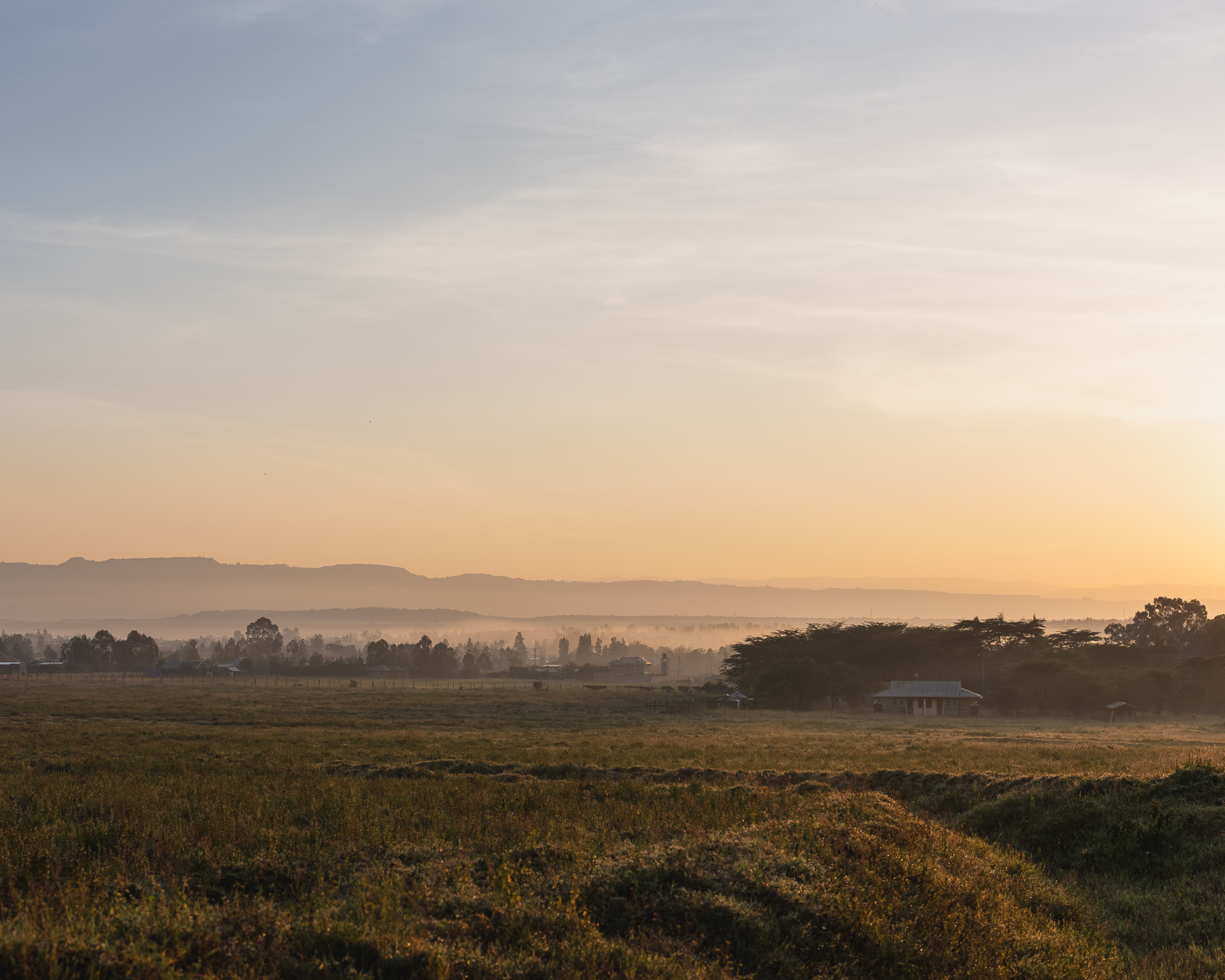 a field with a house in the distance