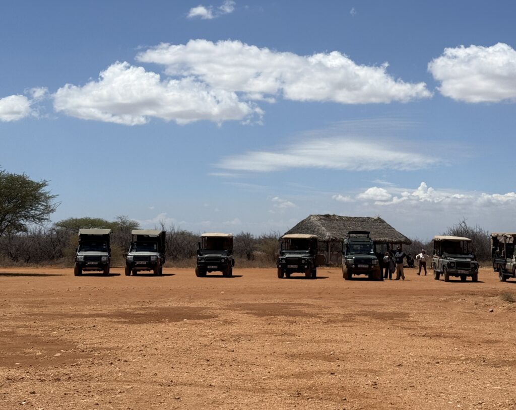 a group of vehicles parked in a dirt area